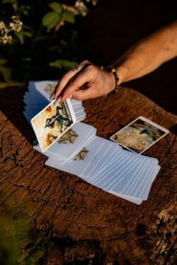Main féminine tirant une carte d’oracle sur une souche en bois, sous une lumière naturelle dorée.